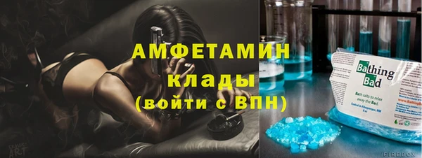 индика Верея