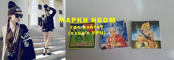 индика Верея