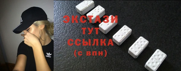 индика Верея