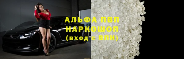 индика Верея