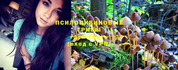 индика Верея
