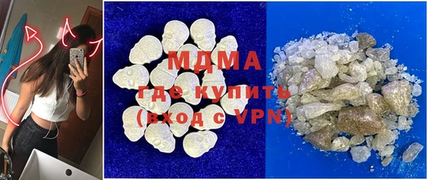индика Верея