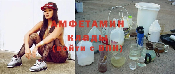 индика Верея