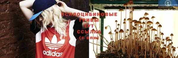 индика Верея