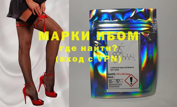 индика Верея
